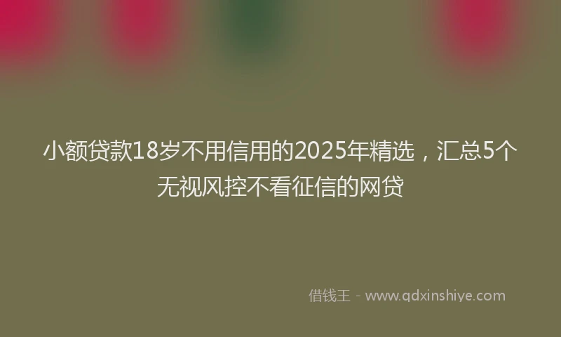 小额贷款18岁不用信用的2025年精选，汇总5个无视风控不看征信的网贷