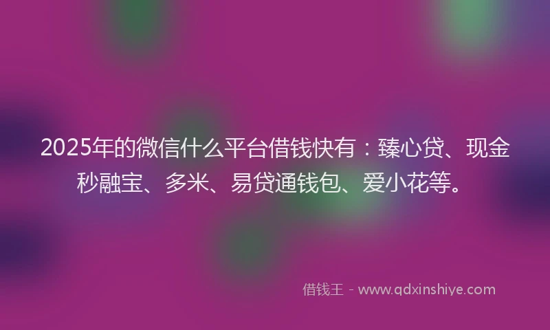 2025年的微信什么平台借钱快有：臻心贷、现金秒融宝、多米、易贷通钱包、爱小花等。
