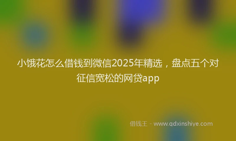 小饿花怎么借钱到微信2025年精选，盘点五个对征信宽松的网贷app