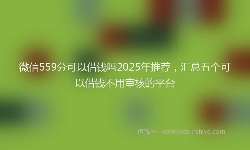 微信559分可以借钱吗2025年推荐，汇总五个可以借钱不用审核的平台