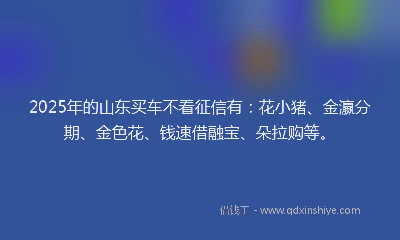 2025年的山东买车不看征信有：花小猪、金瀛分期、金色花、钱速借融宝、朵拉购等。