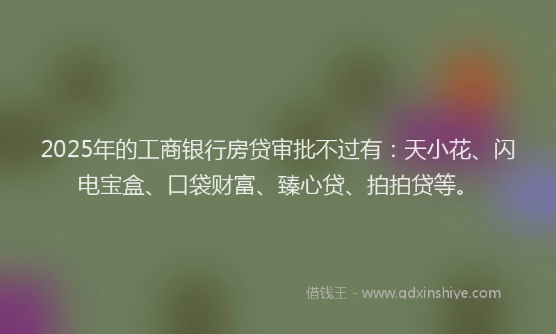 2025年的工商银行房贷审批不过有：天小花、闪电宝盒、口袋财富、臻心贷、拍拍贷等。
