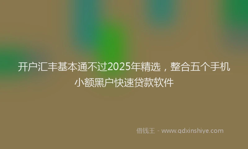 开户汇丰基本通不过2025年精选，整合五个手机小额黑户快速贷款软件