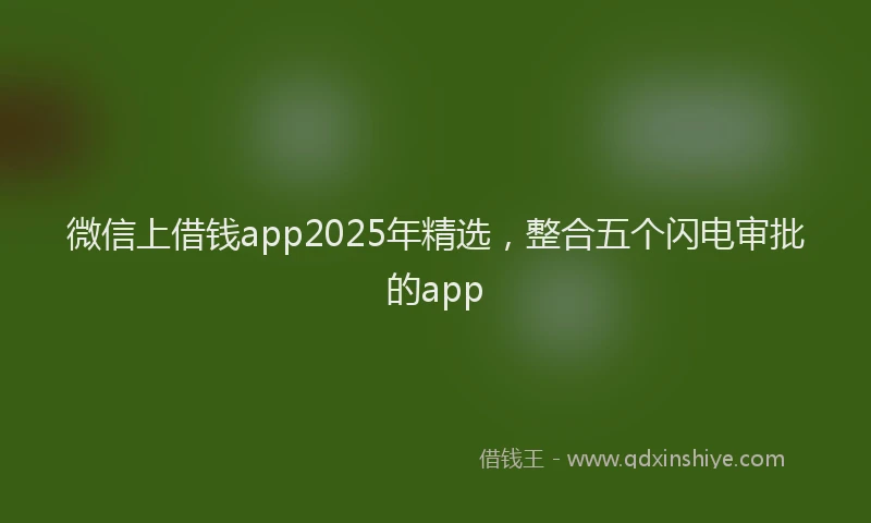 微信上借钱app2025年精选，整合五个闪电审批的app