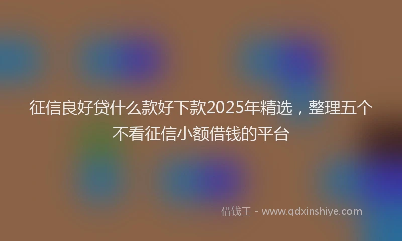征信良好贷什么款好下款2025年精选，整理五个不看征信小额借钱的平台