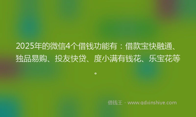 2025年的微信4个借钱功能有：借款宝快融通、独品易购、投友快贷、度小满有钱花、乐宝花等。