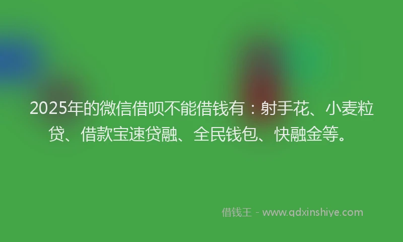 2025年的微信借呗不能借钱有：射手花、小麦粒贷、借款宝速贷融、全民钱包、快融金等。