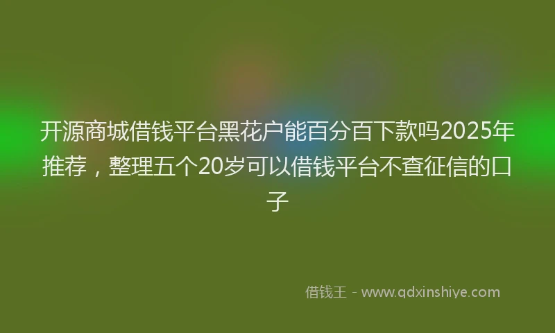 开源商城借钱平台黑花户能百分百下款吗2025年推荐，整理五个20岁可以借钱平台不查征信的口子