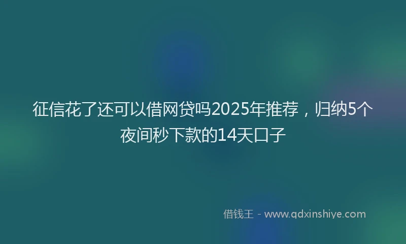 征信花了还可以借网贷吗2025年推荐，归纳5个夜间秒下款的14天口子
