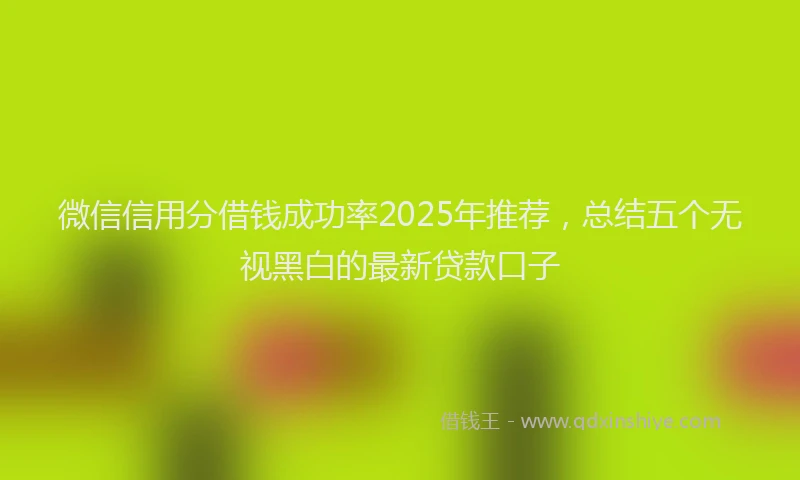 微信信用分借钱成功率2025年推荐，总结五个无视黑白的最新贷款口子