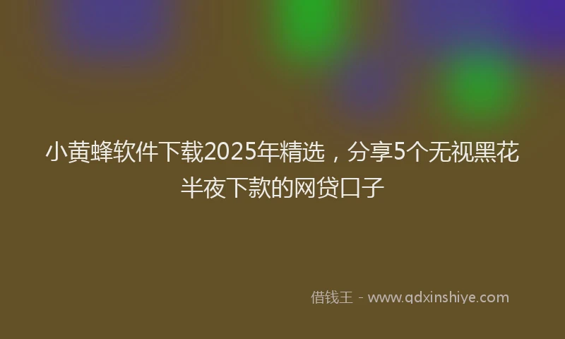 小黄蜂软件下载2025年精选，分享5个无视黑花半夜下款的网贷口子
