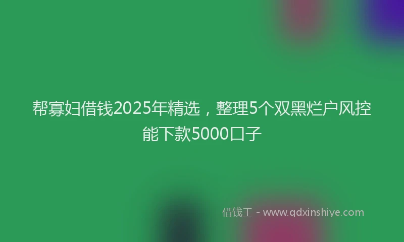 帮寡妇借钱2025年精选，整理5个双黑烂户风控能下款5000口子