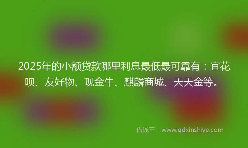 2025年的小额贷款哪里利息最低最可靠有：宜花呗、友好物、现金牛、麒麟商城、天天金等。