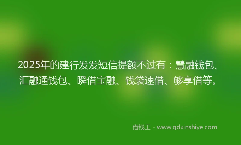 2025年的建行发发短信提额不过有：慧融钱包、汇融通钱包、瞬借宝融、钱袋速借、够享借等。
