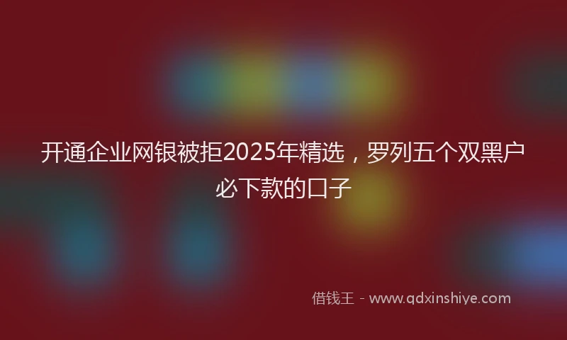 开通企业网银被拒2025年精选，罗列五个双黑户必下款的口子
