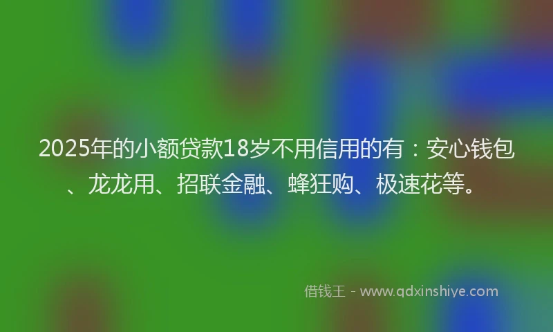 2025年的小额贷款18岁不用信用的有：安心钱包、龙龙用、招联金融、蜂狂购、极速花等。