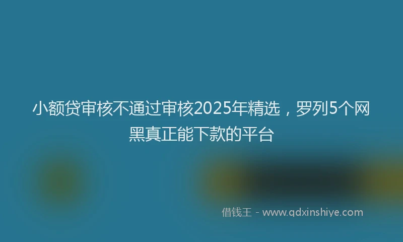 小额贷审核不通过审核2025年精选，罗列5个网黑真正能下款的平台