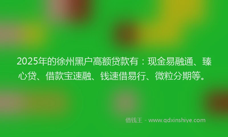 2025年的徐州黑户高额贷款有：现金易融通、臻心贷、借款宝速融、钱速借易行、微粒分期等。