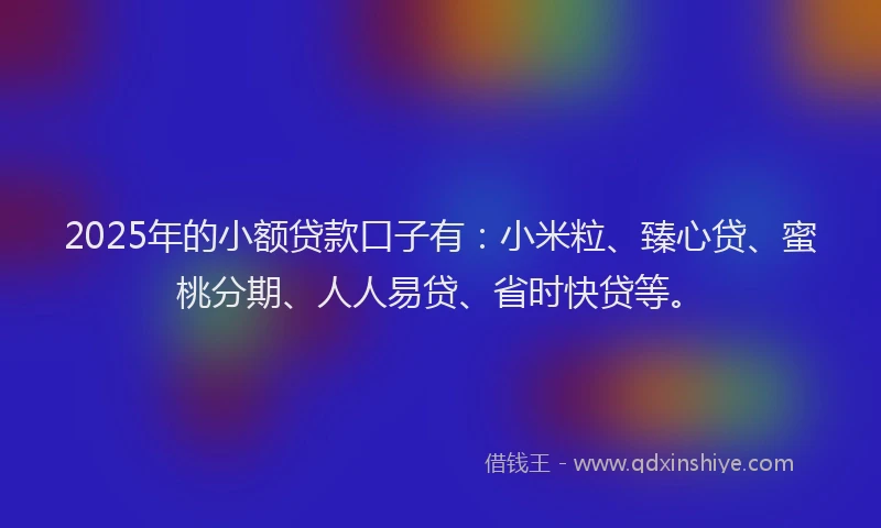 2025年的小额贷款口子有：小米粒、臻心贷、蜜桃分期、人人易贷、省时快贷等。