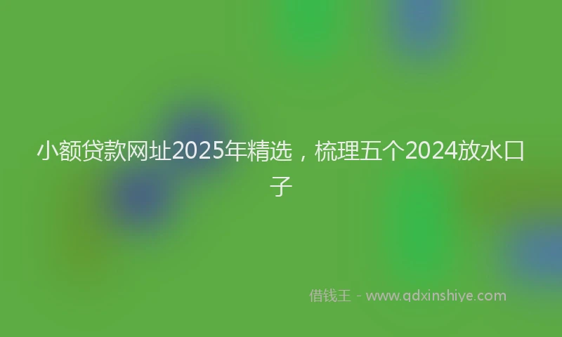 小额贷款网址2025年精选，梳理五个2024放水口子