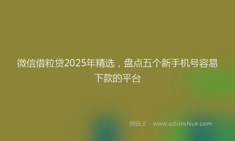 微信借粒贷2025年精选，盘点五个新手机号容易下款的平台