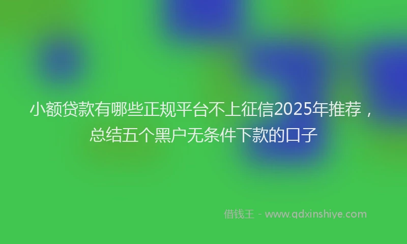 小额贷款有哪些正规平台不上征信2025年推荐，总结五个黑户无条件下款的口子