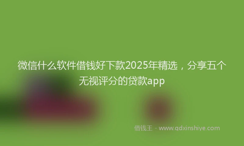 微信什么软件借钱好下款2025年精选，分享五个无视评分的贷款app