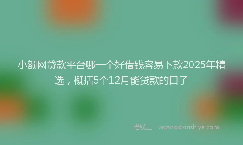 小额网贷款平台哪一个好借钱容易下款2025年精选，概括5个12月能贷款的口子