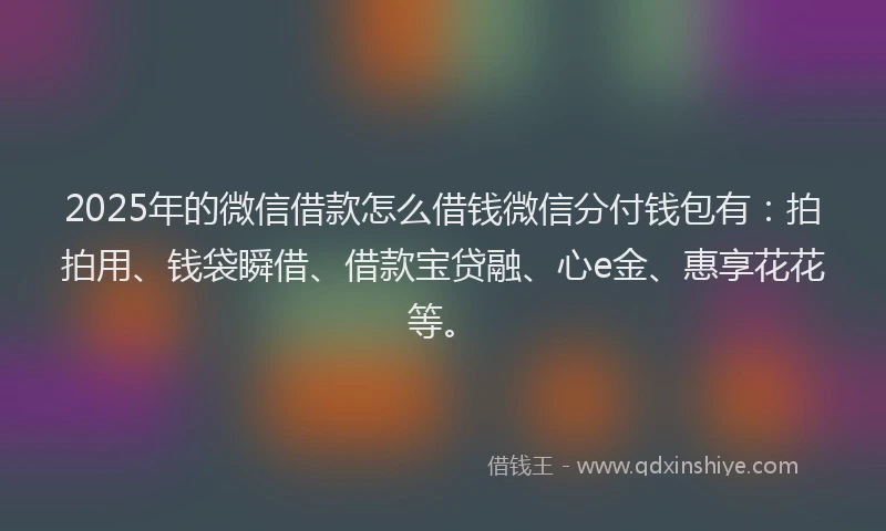2025年的微信借款怎么借钱微信分付钱包有：拍拍用、钱袋瞬借、借款宝贷融、心e金、惠享花花等。