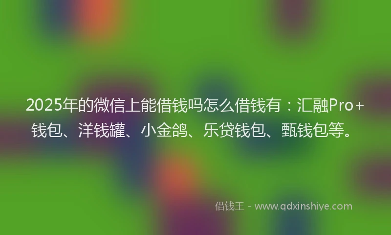 2025年的微信上能借钱吗怎么借钱有：汇融Pro+钱包、洋钱罐、小金鸽、乐贷钱包、甄钱包等。