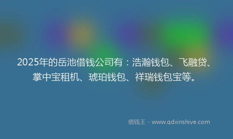 2025年的岳池借钱公司有：浩瀚钱包、飞融贷、掌中宝租机、琥珀钱包、祥瑞钱包宝等。