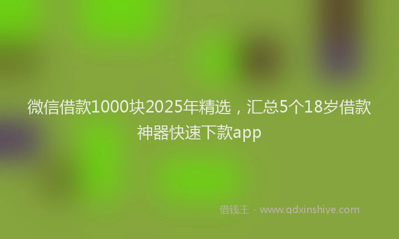 微信借款1000块2025年精选，汇总5个18岁借款神器快速下款app