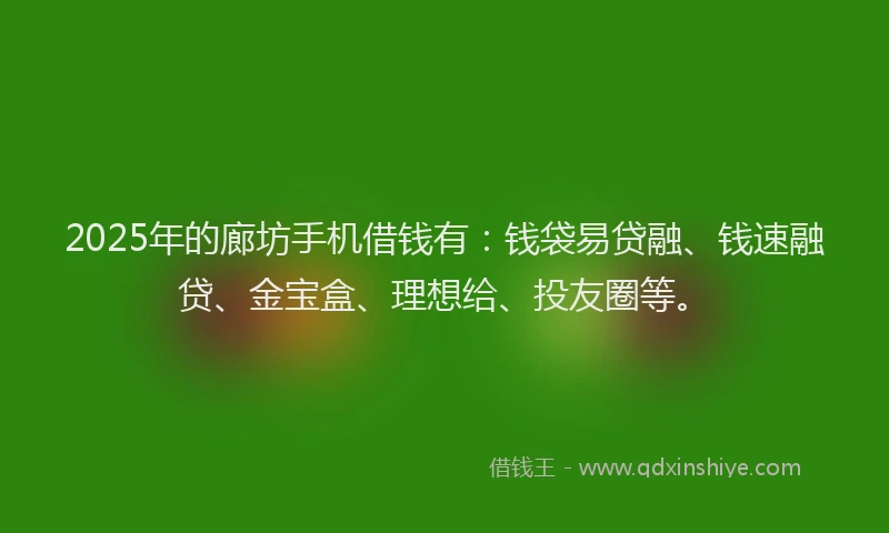 2025年的廊坊手机借钱有：钱袋易贷融、钱速融贷、金宝盒、理想给、投友圈等。