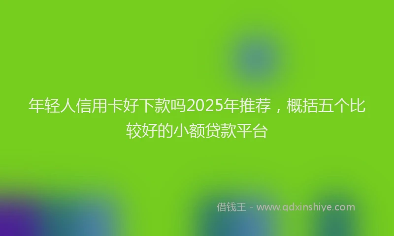 年轻人信用卡好下款吗2025年推荐，概括五个比较好的小额贷款平台