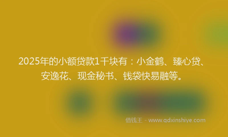 2025年的小额贷款1千块有：小金鹤、臻心贷、安逸花、现金秘书、钱袋快易融等。