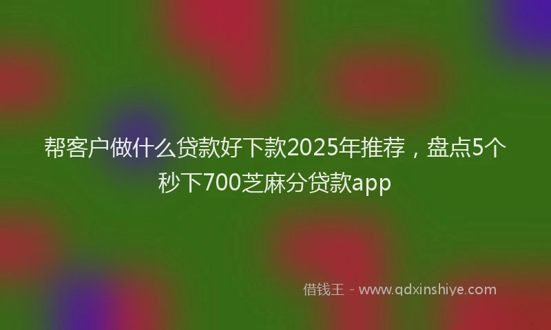帮客户做什么贷款好下款2025年推荐，盘点5个秒下700芝麻分贷款app