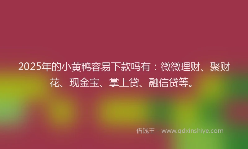 2025年的小黄鸭容易下款吗有：微微理财、聚财花、现金宝、掌上贷、融信贷等。