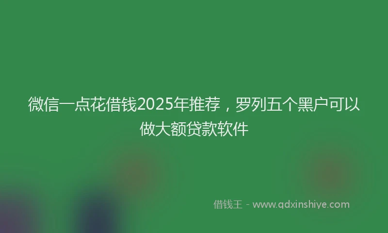 微信一点花借钱2025年推荐，罗列五个黑户可以做大额贷款软件