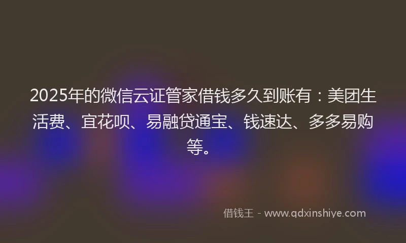 2025年的微信云证管家借钱多久到账有：美团生活费、宜花呗、易融贷通宝、钱速达、多多易购等。