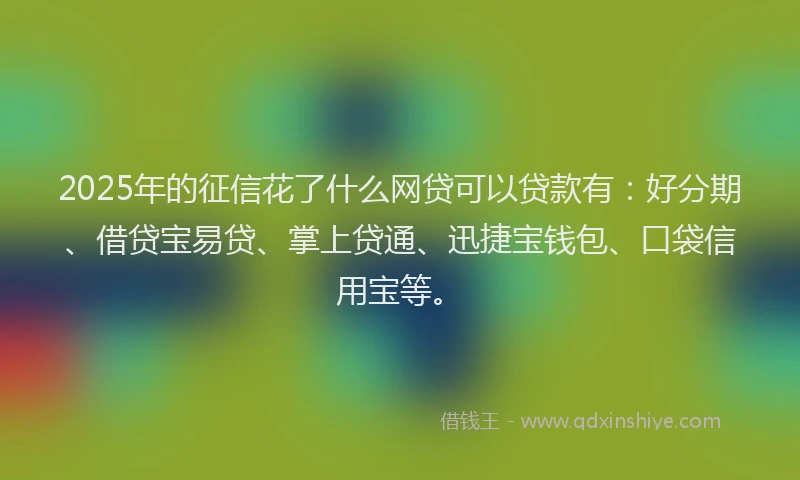 2025年的征信花了什么网贷可以贷款有：好分期、借贷宝易贷、掌上贷通、迅捷宝钱包、口袋信用宝等。
