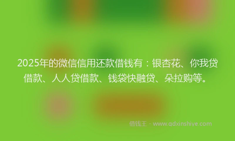 2025年的微信信用还款借钱有：银杏花、你我贷借款、人人贷借款、钱袋快融贷、朵拉购等。
