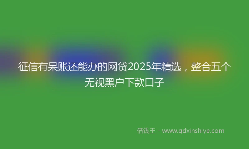 征信有呆账还能办的网贷2025年精选，整合五个无视黑户下款口子