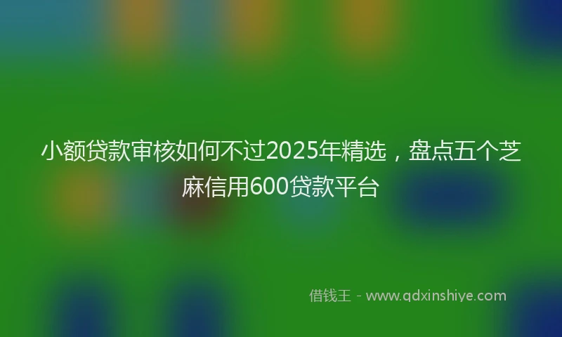 小额贷款审核如何不过2025年精选，盘点五个芝麻信用600贷款平台