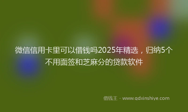 微信信用卡里可以借钱吗2025年精选，归纳5个不用面签和芝麻分的贷款软件