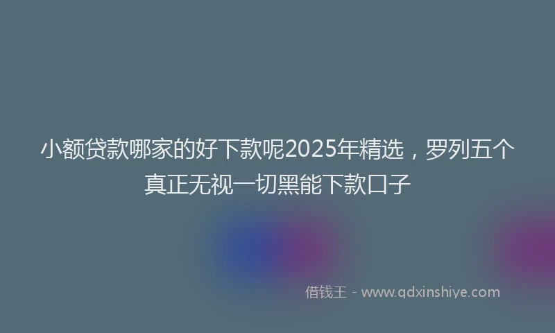 小额贷款哪家的好下款呢2025年精选，罗列五个真正无视一切黑能下款口子