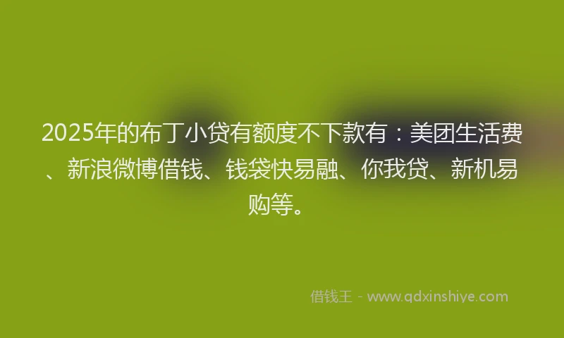 2025年的布丁小贷有额度不下款有：美团生活费、新浪微博借钱、钱袋快易融、你我贷、新机易购等。