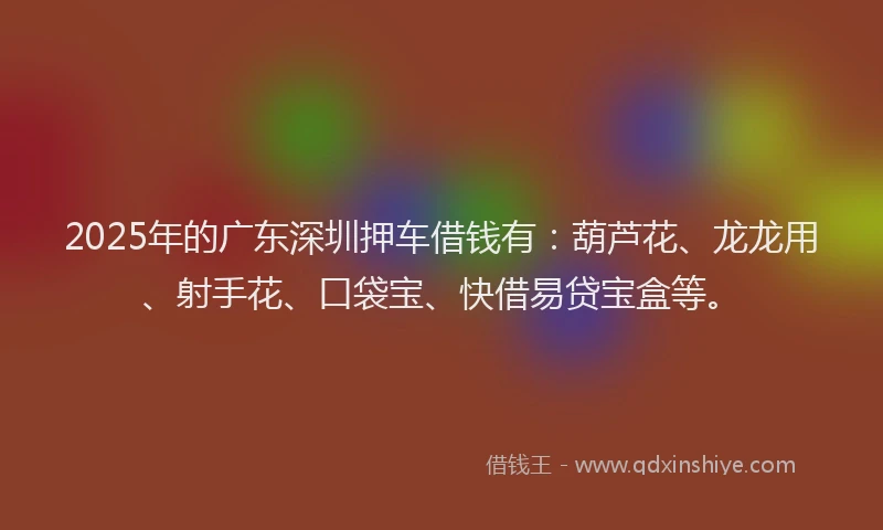 2025年的广东深圳押车借钱有：葫芦花、龙龙用、射手花、口袋宝、快借易贷宝盒等。