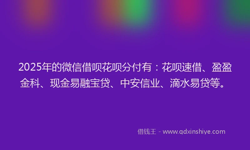 2025年的微信借呗花呗分付有：花呗速借、盈盈金科、现金易融宝贷、中安信业、滴水易贷等。