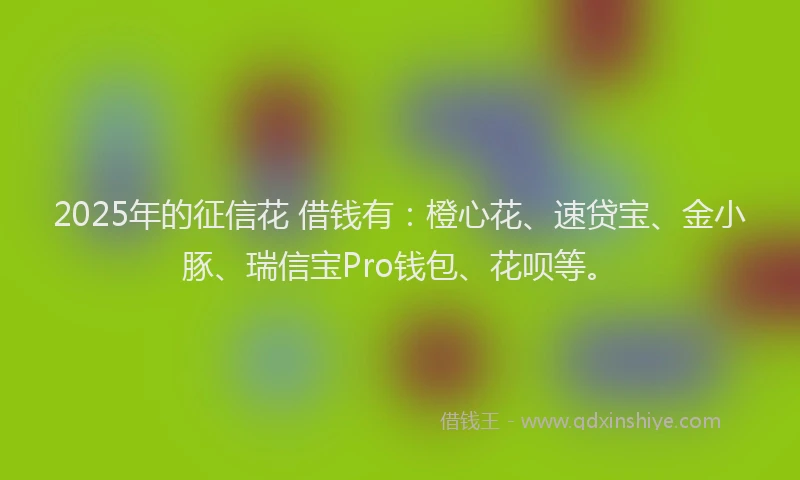 2025年的征信花 借钱有：橙心花、速贷宝、金小豚、瑞信宝Pro钱包、花呗等。
