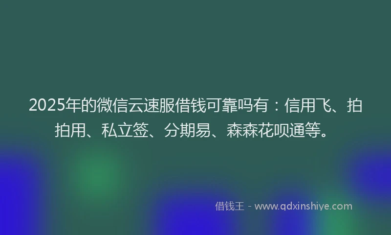 2025年的微信云速服借钱可靠吗有：信用飞、拍拍用、私立签、分期易、森森花呗通等。